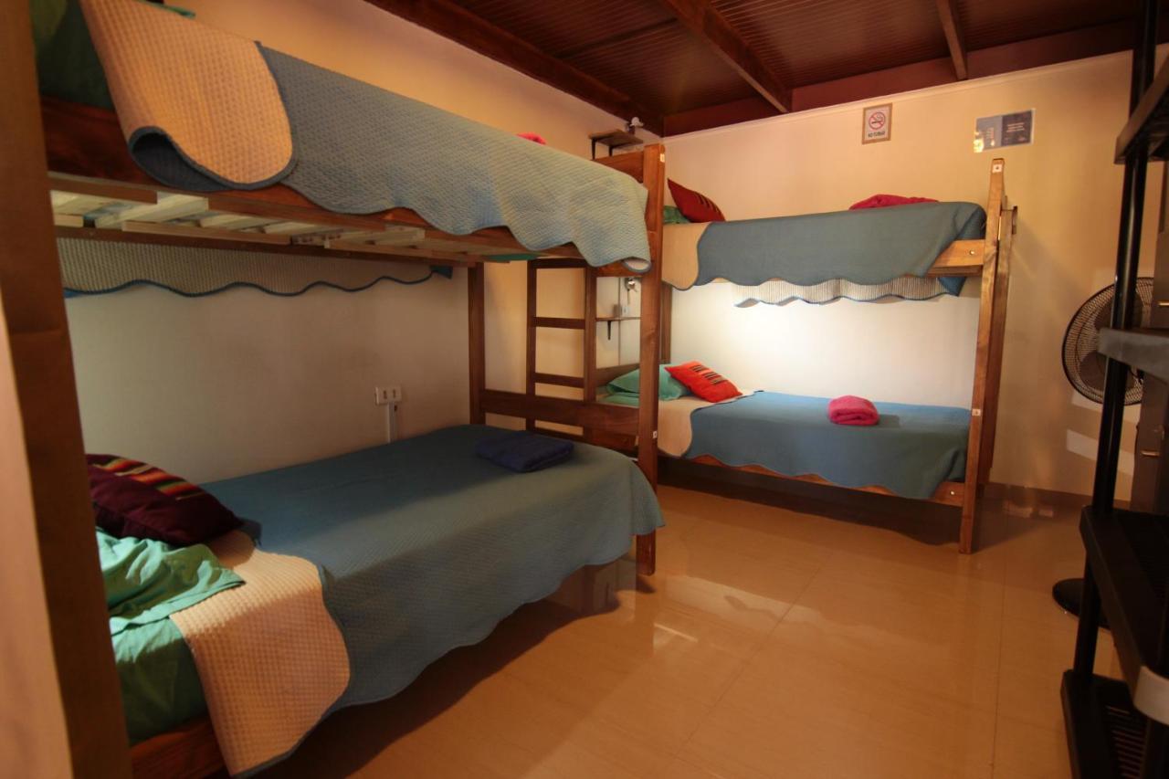 Anka Hostel San Pedro De Atacama Extérieur photo