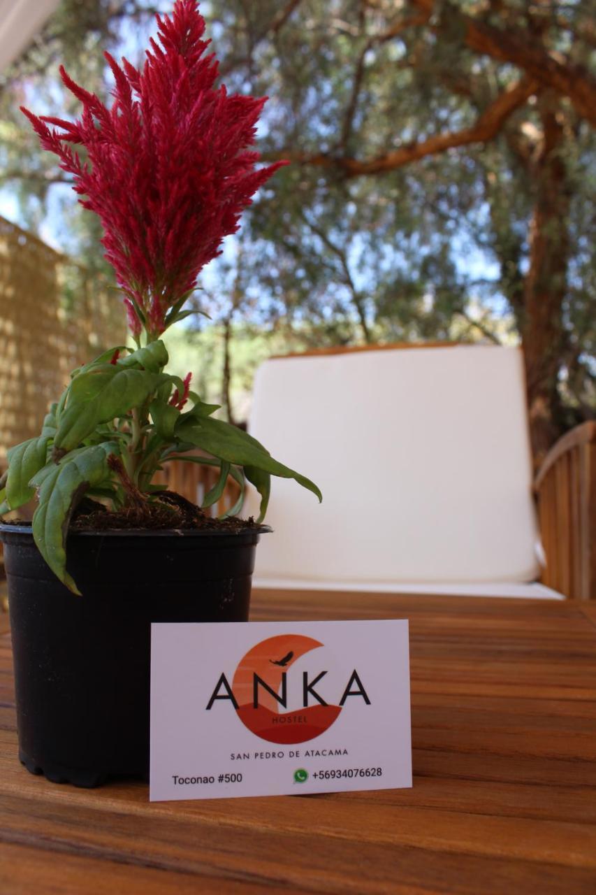 Anka Hostel San Pedro De Atacama Extérieur photo